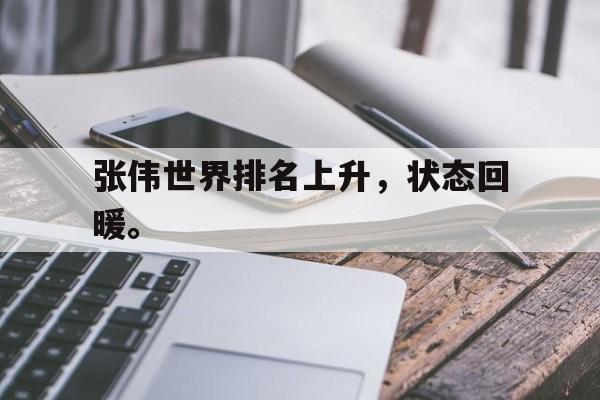 开云线上软件-张伟世界排名上升，状态回暖。
