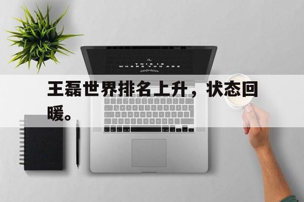 开云线上软件-王磊世界排名上升，状态回暖。