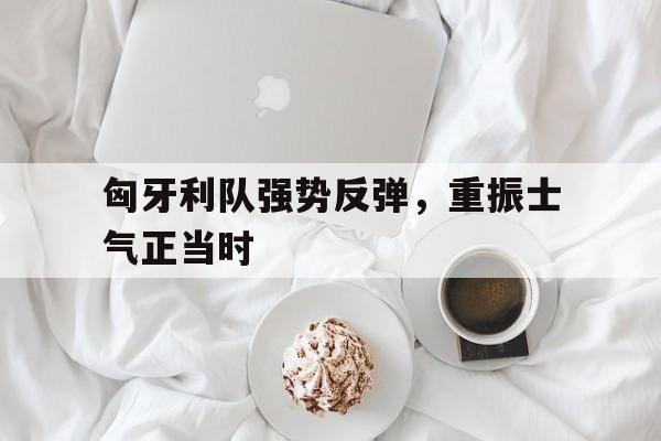 开云线上官网-匈牙利队强势反弹，重振士气正当时