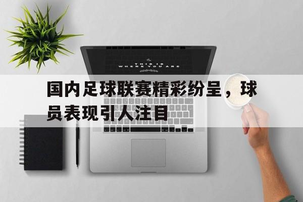 开云线上软件-国内足球联赛精彩纷呈，球员表现引人注目